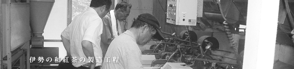 伊勢の和紅茶の製造工程
