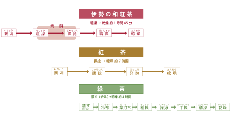 紅茶・緑茶の製造過程の比較